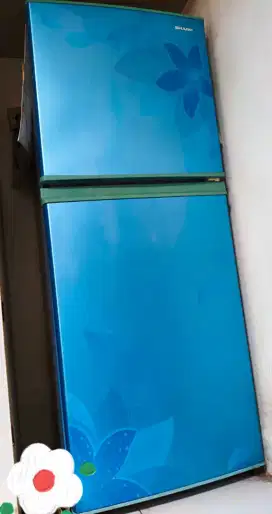 Kulkas Cantik  2 Pintu