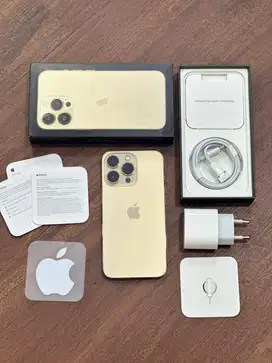 iPhone 13 Pro 1 TB Gold iBox