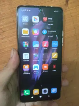 Xiaomi Redmi Note 10 Pro mulus