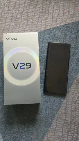 Vivo V29 5/256 GB