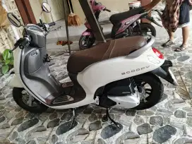 Scoopy Prestige Keyless White Simpaanan