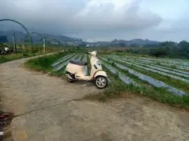 Jual vespa matic lx 150