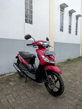 Mio garnis full ori mulus