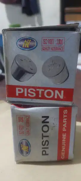 Piston rem cakram depan x trail serena c24