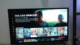 Tv xiaomi 32in android