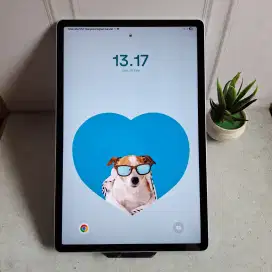 Samsung Tab S9 FE plus 5G