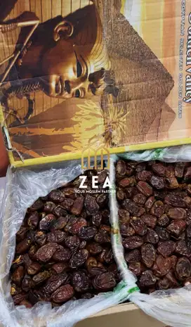 Grosir kurma mesir golden valley