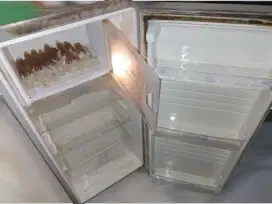 Kulkas Sanyo 1 Pintu