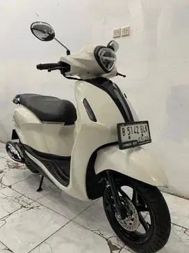 Filano 2023/2024 neo