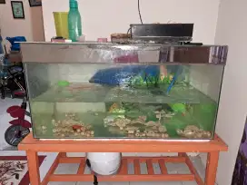DIJUAL CEPAT AKUARIUM 675.000 NEGO TIPIS