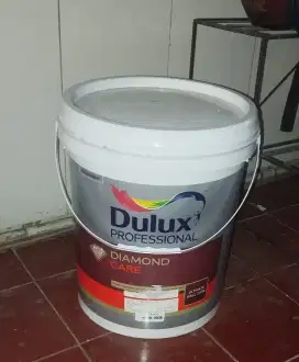 Cat Dulu Profesional 20L