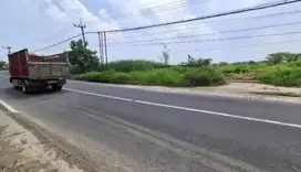 Dijual Tanah Pelang Kembangbahu Lamongan