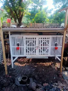 Jual kandang ayam exklusif