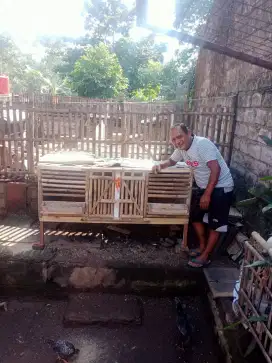 Jual kandanga ayam small