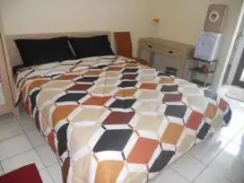Disewakan Apartemen Type Studio
