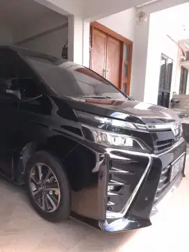 Voxy Nik 2020 Cash319jt