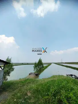 Dijual Tanah Tambak Daerah Benowo