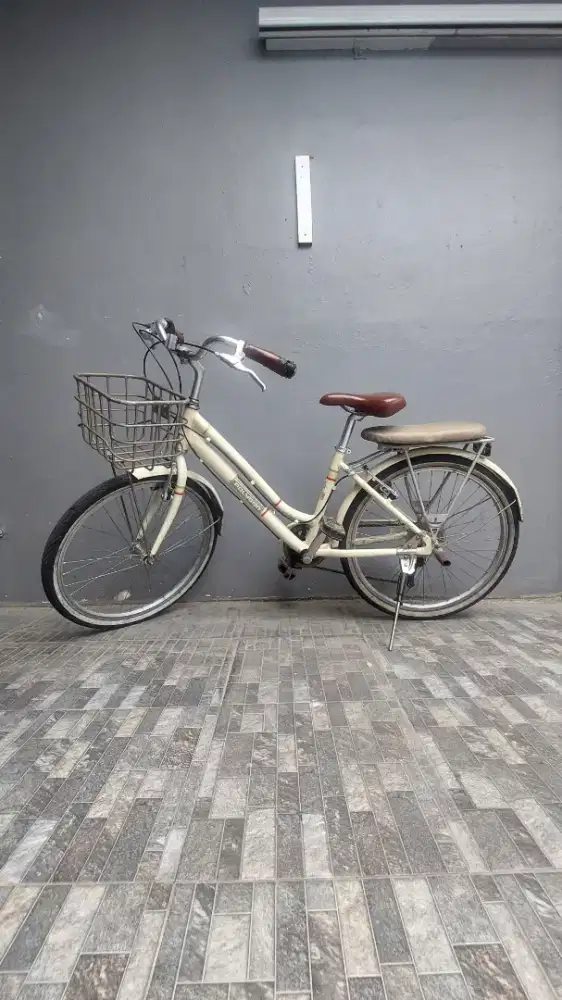 Sepeda keranjang