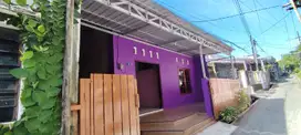 Rumah di sewakan di undip tembalang
