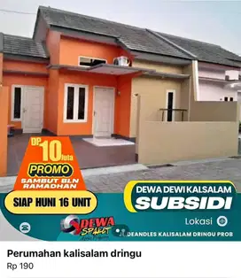 Rumah murah dringu