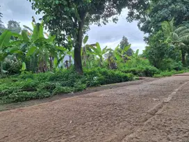 2 Jt-an Tanah Kavling area Brimob Cikeas, Legalitas SHM