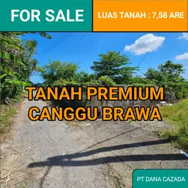 TANAH PREMIUM CANGGU, 7,58 ARE