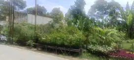Dijual Kebun Bunga Strategis 1000 m² Pinggir Jalan Utama Cigugur,kbb