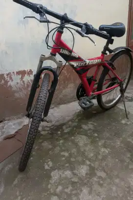 Sepeda POLYGON QRONOS