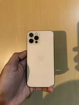 iPhone 12 Pro 256 Gold ex inter