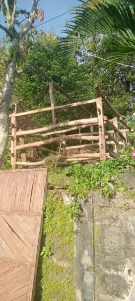 Kandang sapi bekas kayu akasia siap pindah