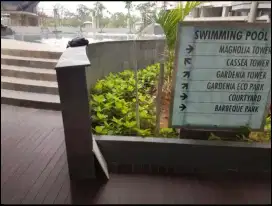 Disewakan Apartment 1 Bed Room BSD Sinar Mas Casadeparco