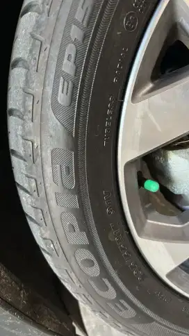 Bridgestone ring 17 Ecopia