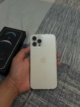 Iphone 12 pro max 128gb beacukai
