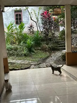 Kost Eyang Depok