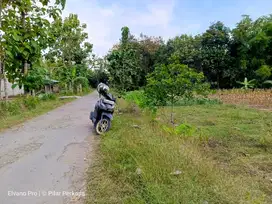 TANAH MURAH DEKAT LAPANGAN GUNUNGSARI MLARAK