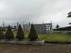 Tanah bukit dolar