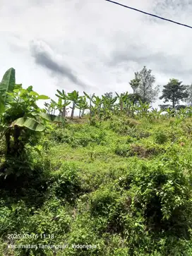 Jual Tanah Kosong Jonggol
