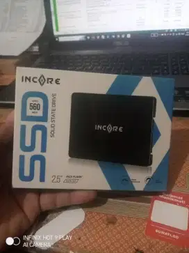 SSD Sata 3 Incore 256gb Garansi Resmi