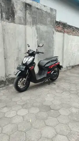 Honda genio 2022 ban donat
