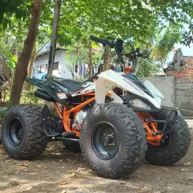 ATV Viar Razor 100sp Ring 8