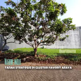 Tanah di Cluster Favorit Nieuw Indie Araya Malang