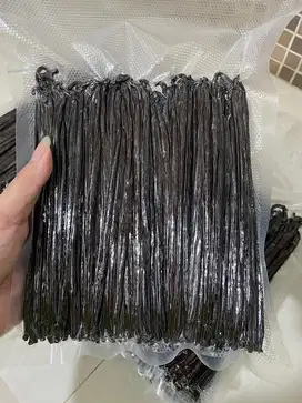 Vanili Vanilla Beans Planifolia Grade A Gourmet per Kg Vanila
