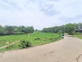 Kavling SHM Dekat Bukit Hyundai, 1 Jt-an/m2