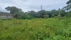 1 Jt-an Tanah Kavling Area Cileungsi, Dekat Citraland Cibubur, Sudah S