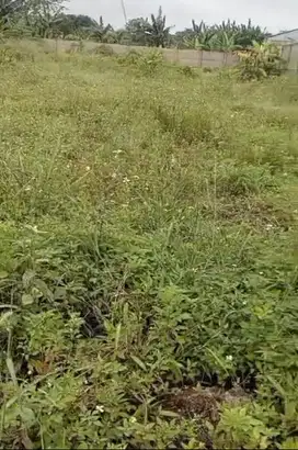 Di jual tanah siap bangun gunung Putri Bogor