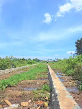 Beli Kavling Lalu Bangun Kost, Dekat IPB Dramaga