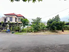 LANGKA Tanah Papa Biru 200mter Ke suhat