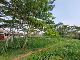 Tanah Ideal Cocok Untuk Pengembang Perumahan Area Dekat Kampus Solo