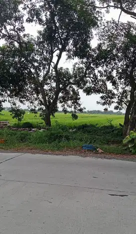 Tanah Zona Pergudangan dan Industri Di Sukodono, Sawocangkring Sidoaro