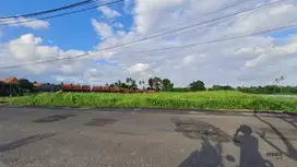 Tanah 33.2 Lokasi Strategis Dekat Pantai Disewakan, di Seseh Munggu